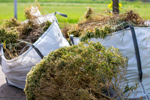 Best Junk Hauling Services  in Forest Hills, TN